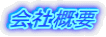ЊTv